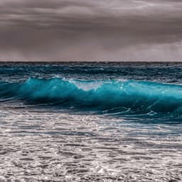 10 AM Wellness: Shoreline Spirit - Coastal Sounds