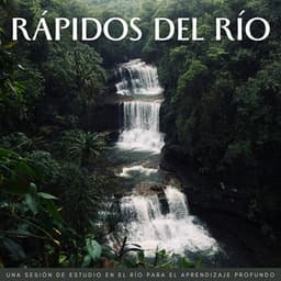Rápidos Del Río: Una Sesión De Estudio En El Río Para El Aprendizaje Profundo - Paisajes sonoros de roca de agua