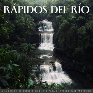 Rápidos Del Río: Una Sesión De Estudio En El Río Para El Aprendizaje Profundo - Paisajes sonoros de roca de agua