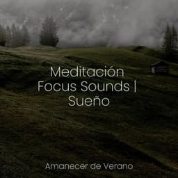 Meditación Focus Sounds | Sueño - Canción de Cuna