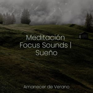 Meditación Focus Sounds | Sueño - Canción de Cuna