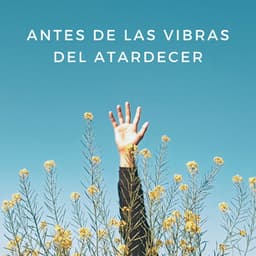 Antes De Las Vibras Del Atardecer - Lista de reproducción de Lofi