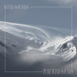 Pure Wind Sounds - Wind Sounds