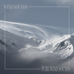 Pure Wind Sounds - Wind Sounds