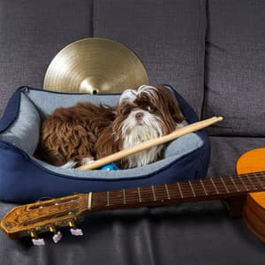 Solutions for Nervous or Energetic Dogs: Calm Pup Music Therapy - Pet Care Club