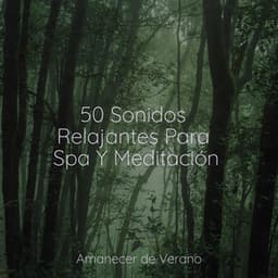 50 Sonidos Relajantes Para Spa Y Meditación - Rumbas de España