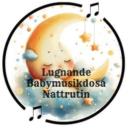 Lugnande Babymusikdosa Nattrutin - Bebis Söt Vaggvisa Projekt Zzzz