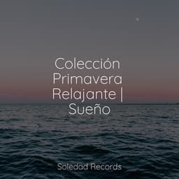 Colección Primavera Relajante | Sueño - Musica para Meditar