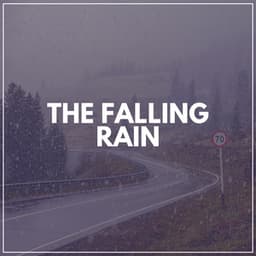 The Falling Rain - Rain FX