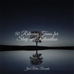 50 Relaxing Tunes for Sleep and Relaxation - Mantra para Dormir