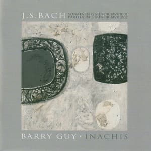Bach: Violin Sonata No. 1 in G Minor, BWV 1001 & Violin Partita No. 1 in B Minor, BWV 1002 - Guy: Inachis - Johann Sebastian Bach
