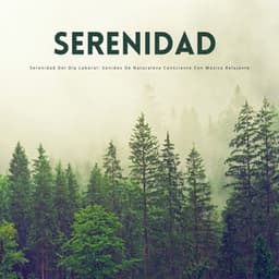 Serenidad Del Día Laboral: Sonidos De Naturaleza Consciente Con Música Relajante - Naturalis