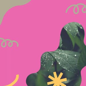 Bubbly Ambiance for Lightening Up Atmosphere - Elevator Music Deluxe