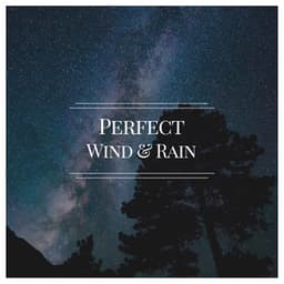 Perfect Wind & Rain - The Sound Reserve