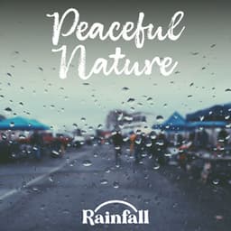 Peaceful Nature - Rainfall