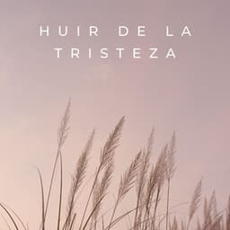 Huir De La Tristeza - LUIS RADIO
