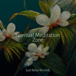 Spiritual Meditation Zone - Relajación