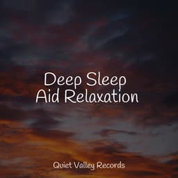 Deep Sleep Aid Relaxation - Sol y Lluvia