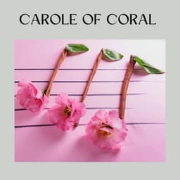 Carole of Coral - Soporific Pink Noise