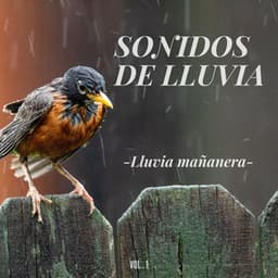 Sonidos de lluvia: Lluvia mañanera Vol.1 - 101 Naturaleza