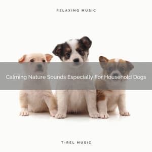 Calming Nature Sounds Especially For Household Dogs - Pets Relax
