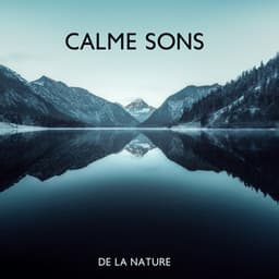 Calme sons de la nature: Musique relaxante pour corps et esprit - Musique Coeur de la Nature