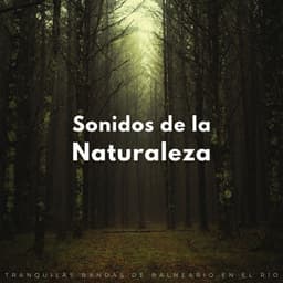Sonidos De La Naturaleza: Tranquilas Bandas De Balneario En El Río - Rios y corrientes