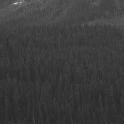 Echoes of Unique Thoughts - Cafe Jazz Coffee House