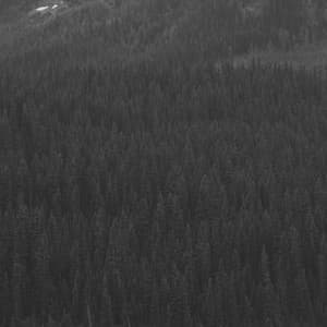 Echoes of Unique Thoughts - Cafe Jazz Coffee House