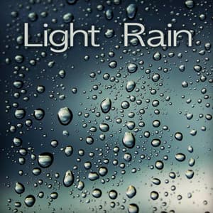 Light Rain - Sleep Sounds HD