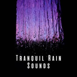 Tranquil Rain Sounds - Rain Sounds ACE