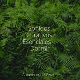 Sonidos Curativos Esenciales | Dormir - Música para Correr