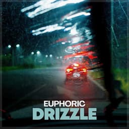 Euphoric Drizzle - Relaxing Rain