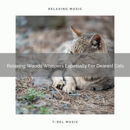 Relaxing Woods Whispers Especially For Dearest Cats - Pets Relax