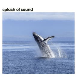 Splash of Sound - Ocean Therapy