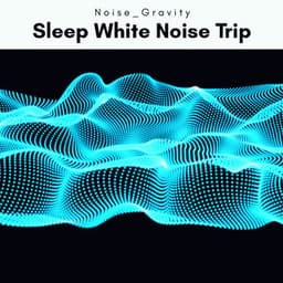 A Sleep White Noise Trip - Noise Gravity