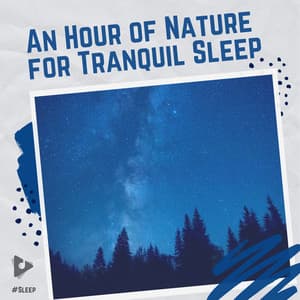 An Hour of Nature for Tranquil Sleep - #Sleep