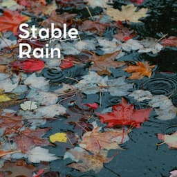 Stable Rain - Rainfall