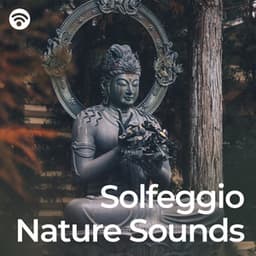 Solfeggio Nature Sounds: Harmonic Solfeggio Journey Through Green - Reiki Ensemble
