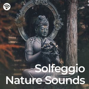 Solfeggio Nature Sounds: Harmonic Solfeggio Journey Through Green - Reiki Ensemble