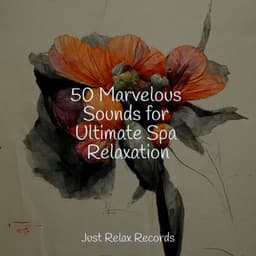 50 Marvelous Sounds for Ultimate Spa Relaxation - Sonidos De Lluvia y Tormentas