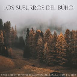 Los Susurros Del Búho: Ritmos Reconfortantes De La Naturaleza Para La Siesta Del Bebé - Sonidos De Buho