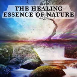 The Healing Essence of Nature - The Healing Sounds of Nature