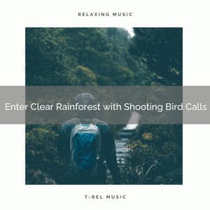 ! ! ! ! ! ! Enter Clear Rainforest with Shooting Bird Calls - Ambient Rain
