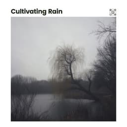 Cultivating Rain - Rain Sound Studio