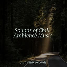 Sounds of Chill Ambience Music - Pro Sound Effects Library