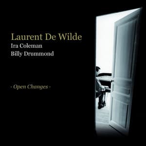 Open Changes - Laurent De Wilde