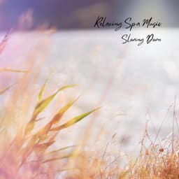 Slowing Down - Relaxing Spa Music