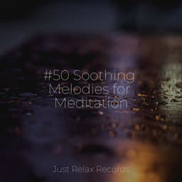 #50 Soothing Melodies for Meditation - Relaxing Spa Music