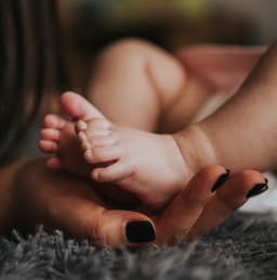 Phantasmic Illuminations - Arctic Comfort